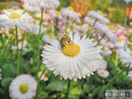 一个人能把十年前的衣服穿出来，而且还挺潮！一个有品位的人！
