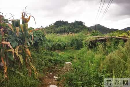 赔不起就种树! 2019年江苏男子河边诱捕2万多只, 判赔600万无力支付