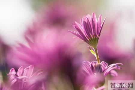 容易背着老公偷人的女人，是这样看起来“老实”的女人，别被骗了