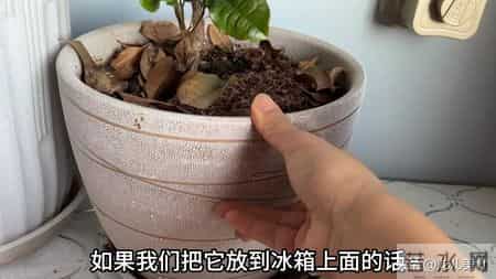 无论家里有钱没钱，冰箱上最好别放三样东西，不是迷信，回家挪走