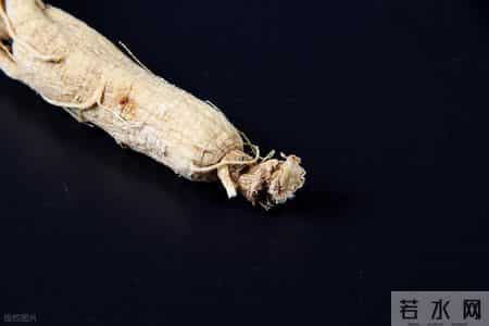 西洋参再次被关注！医生：老年人吃西洋参，不过多久或有6变化