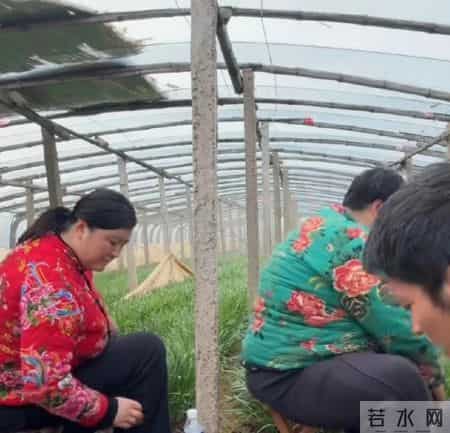 小二姐回老家带货，头发花白显老气，体型壮硕跟大姐相仿