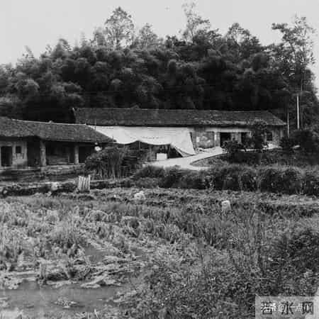 继父入赘我家，母亲跟人私奔，18年后带男人回家，我-该走的是你