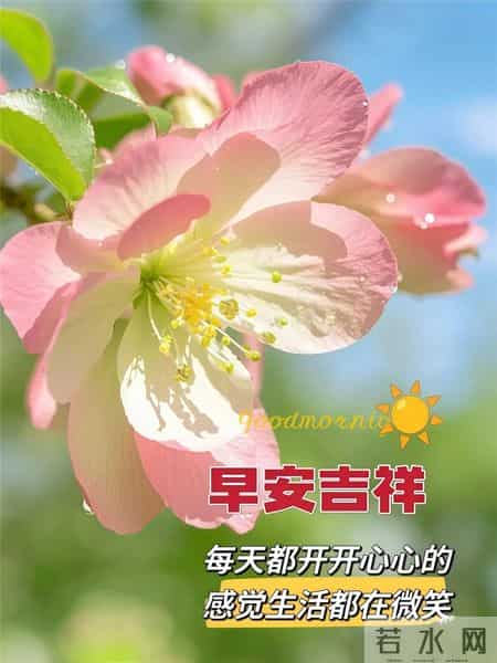 早安吉祥~ 保持好心情，守护好健康，心宽体健，福气自来！
