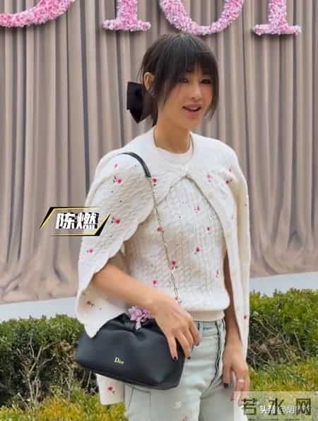 巴黎明星见光死！刘嘉玲发际线秃，周也脸肿，温碧霞一身红好辣眼