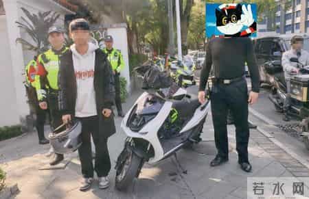 近期严查！新会一批司机被曝光……