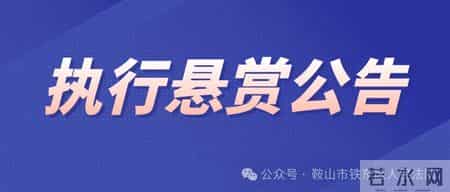 鞍山市铁东区人民法院悬赏公告(2026年第二期)