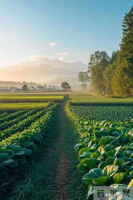 和五十岁的女人约会，她们更喜欢男人做这三件事