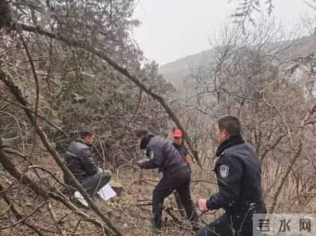 5人团伙盗伐柏树50余根，被延安宜川警方抓获
