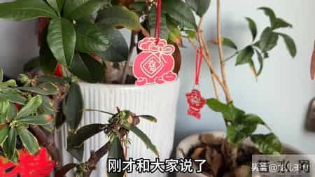 无论家里有钱没钱，冰箱上最好别放三样东西，不是迷信，回家挪走