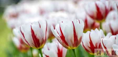 夫妻兄弟（26）这样的婚姻