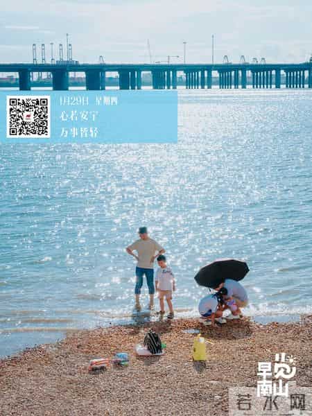 新增54处“电子警察”!深圳交警最新公告