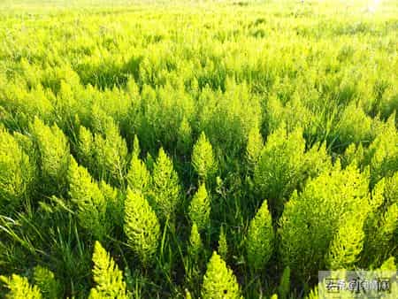 你以为60岁女性都安分？其实过了60岁，女性普遍有着七大隐秘变化