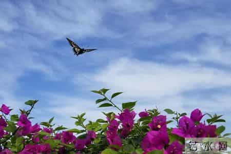 关东风雪情——走出婚姻的围城（179）