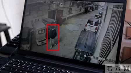 项城：严打侵财犯罪 倾力守护民生