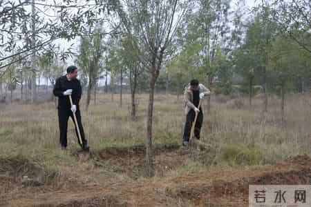 赔不起就种树! 2019年江苏男子河边诱捕2万多只, 判赔600万无力支付