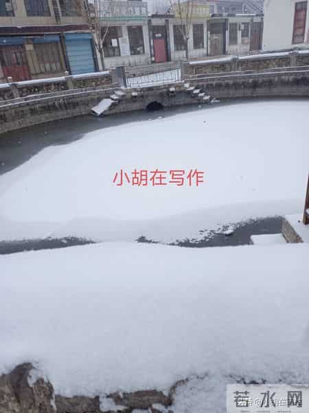 今天我光扫了扫自家门前的雪！我不愿意再去当一个盲目的好人！