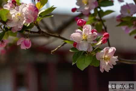 大伯来电要我卖房救他儿子，我回应，二十三年前的断绝书，您忘了