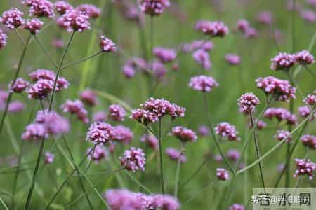 老公把6000生活费降到2500，说我带娃性价比太低，我给他7000带娃