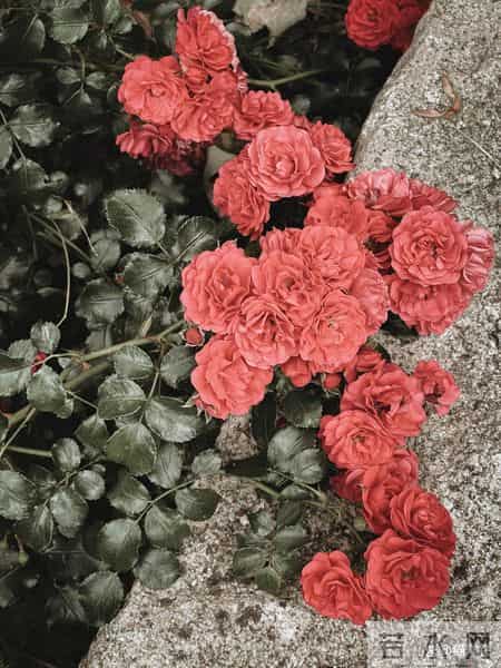 中年女人和你独处时，一旦有了这三种“生理感觉”，说明对你动了真情，根本骗不了人