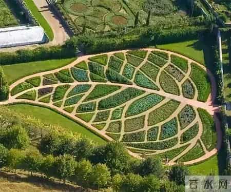 看到澳洲人这样种菜，华人邻居惊呆了!