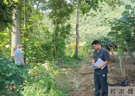 赔不起就种树! 2019年江苏男子河边诱捕2万多只, 判赔600万无力支付