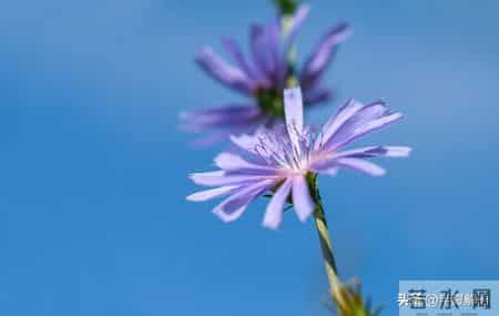 老公把6000生活费降到2500，说我带娃性价比太低，我给他7000带娃