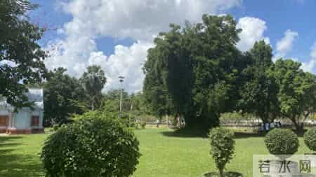 过来人的劝告:如果儿子没什么本事,千万别催婚