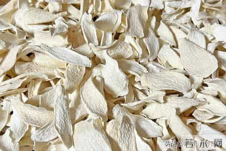 “冬天吃一根,腿脚站稳跟”,一次买25斤晒起来,泡水煮粥都很好