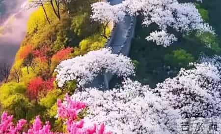 五十岁左右的70后，如果能拥有这几条，那说明你已经非常优秀了