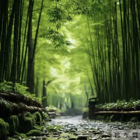 越用越旺的节节高升头像