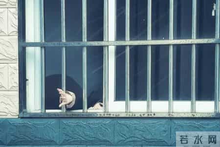 揭秘!死刑犯枪决前不为人知的细节