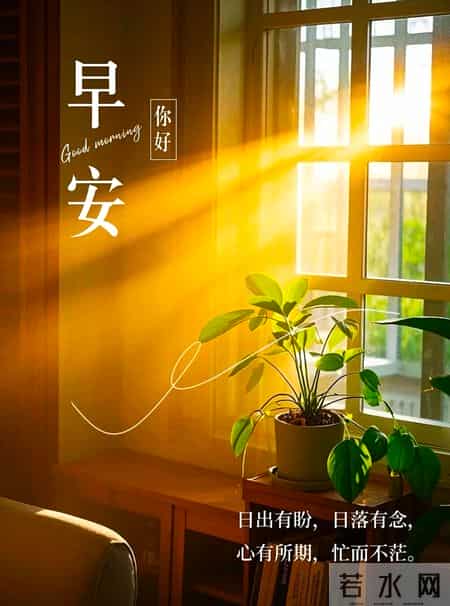 2026年1月29日周四早上好早上好图片最新今天 温馨淡雅的早安图片