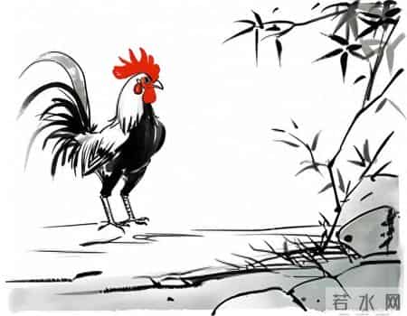 属鸡的人,请注意:那位能真正站在你身边的人,可能就在不远处。