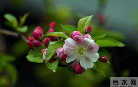 你别不信邪：一个家庭，其实是不赚钱的那个人，在保护赚钱的那个