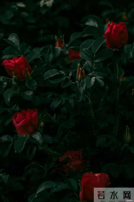 一个城府深的人，报复你的方式往往只有三种，看似不动声色，其实招招致命