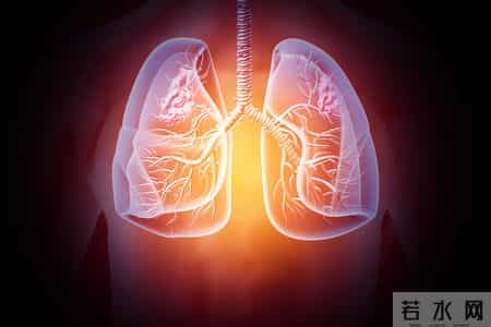 医生提醒：无论多坏的肺，只要常吃这5样，肺一天比一天好。