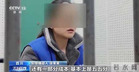 仅有15名员工的企业却有13人集中生育，申领了总计超100万元的生育保险，一起全链条造假骗取生育津贴的大案被揭开