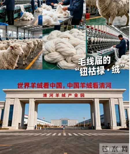 意大利羊绒卖3万，中国原料卖300：我们到底被谁割了？