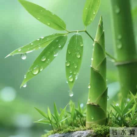 越用越旺的节节高升头像