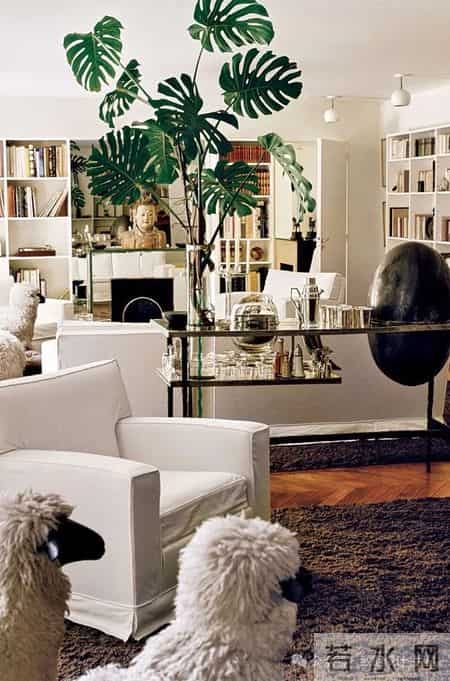 家里的高级感，一半是留白，一半是绿植。