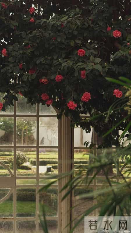 说实话，男人骨子里只“看得起”一种女人，和漂不漂亮没关系