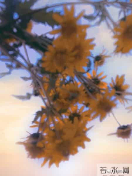 到了五十岁才明白，女人的“生理性喜欢”一生只有两次，别不信！