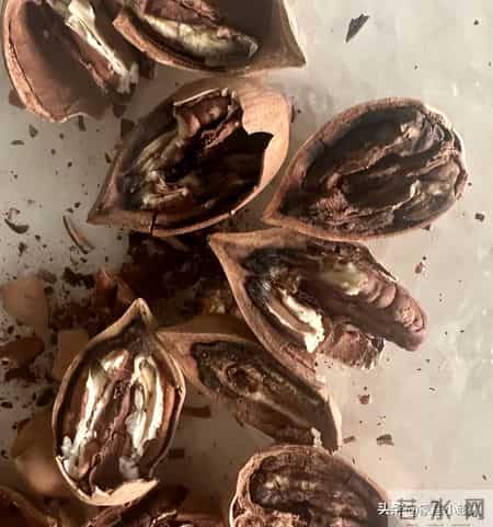 临近过年，有钱也别瞎买！这6样，白送都不要，别买了