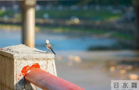 花500元请阿姨打扫卫生，完事她红着脸问：我不要工钱，有个要求