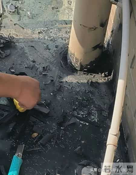 白蚁入侵毁家，业主拒交7000多元物业费被起诉，法院：酌情减免！