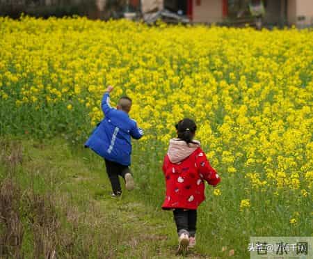 一个扎心的现实：为什么越孝顺的子女，反而越不受父母待见？