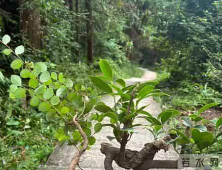 30万存款是贫富分界线