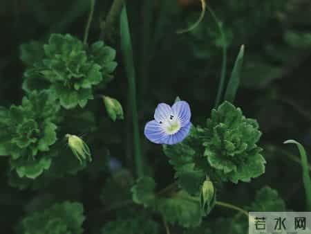 人老了，走不动时，断了这4个念想，余生才活得舒坦