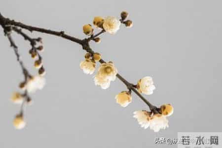 亲人去世，不掉眼泪的，多半是这4类人，很现实